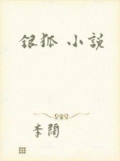 银狐 小说
