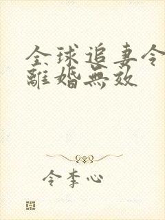 全球追妻令老婆离婚无效