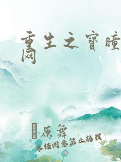 重生之宝瞳书书网