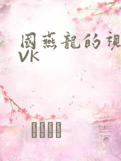 国燕龙的视频IVK