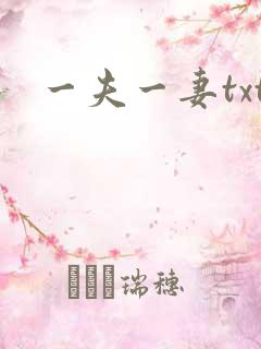 一夫一妻txt