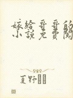 嫁给哥哥的情敌小说免费阅读