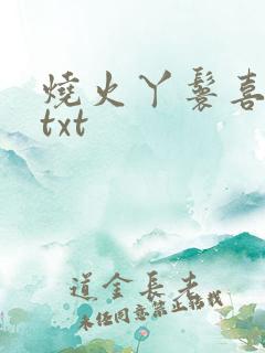 烧火丫鬟喜洋洋txt