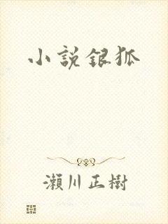 小说银狐