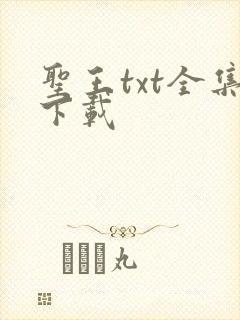 圣王txt全集下载