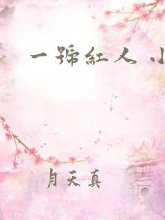 一号红人 小说