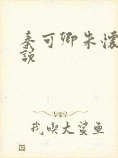 秦可卿朱怀镜小说