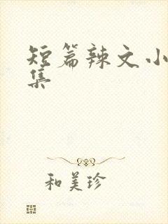 短篇辣文小说合集