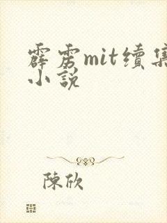 霹雳mit续集小说