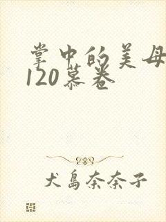 掌中的美母版主120慕卷