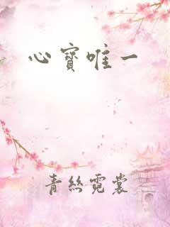 心宝唯一