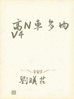 高N车多肉多1V4