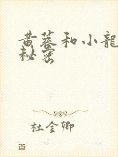 黄蓉和小龙女的秘密