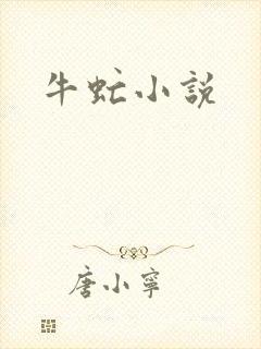 牛虻小说