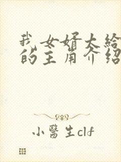 我女婿太给力了的主角介绍