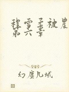 程雪柔被农民工第六章