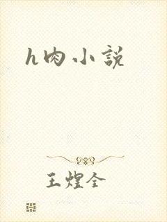 h肉小说