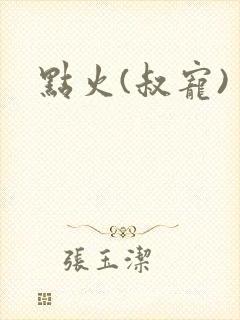 点火(叔宠)
