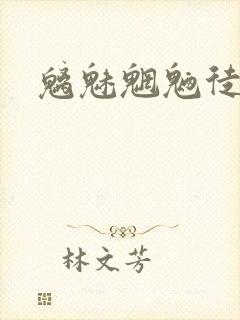 魑魅魍魉徒为尔