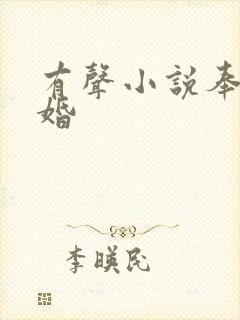 有声小说奉子成婚