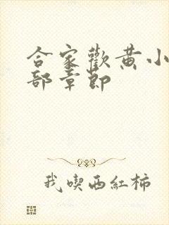 合家欢黄小梅全部章节