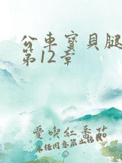 公车宝贝腿开点第12章