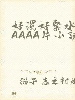 好湿好紧水多AAAAA片小说