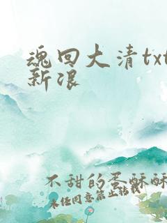 魂回大清txt新浪