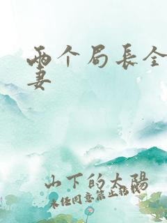 两个局长全肉共妻