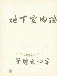 地下室肉按摩椅