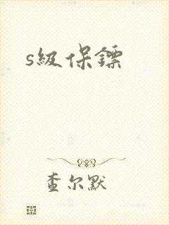 s级保镖