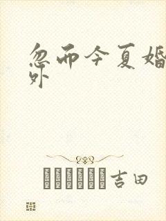 忽而今夏婚后番外