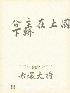 公主在上国师请下轿