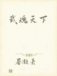 武魂天下