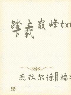 踏上巅峰txt下载