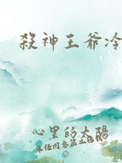 杀神王爷冷情妃