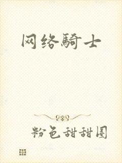 网络骑士