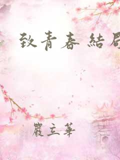 致青春 结局