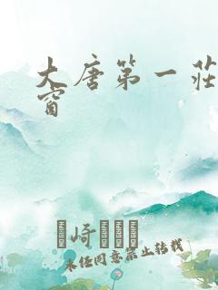 大唐第一庄无弹窗