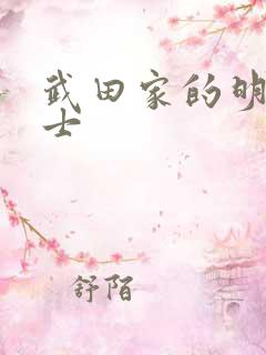 武田家的明国武士