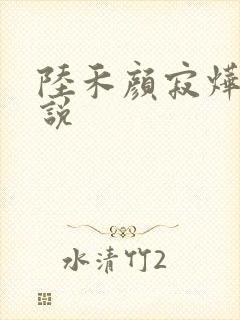 陆禾颜寂烨霖小说