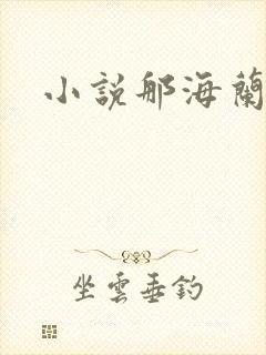 小说那海兰珠