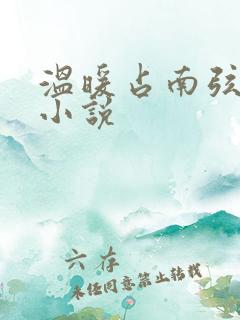 温暖占南弦尹衿小说