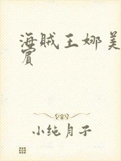 海贼王娜美h罗宾