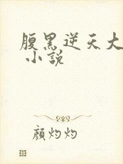 腹黑逆天大小姐 小说