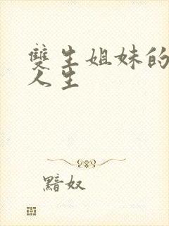 双生姐妹的错位人生