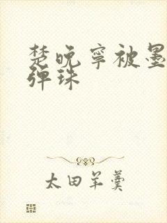 楚晚宁被墨燃塞弹珠