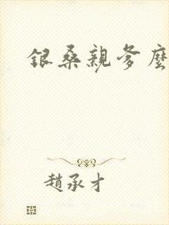 银桑亲爹么么哒