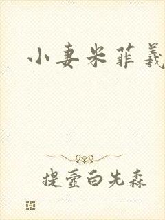 小妻米菲羲捷