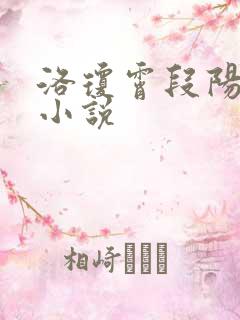 洛琼霄段阳澍的小说